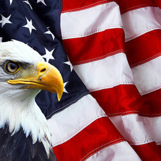 Patriotic Items
